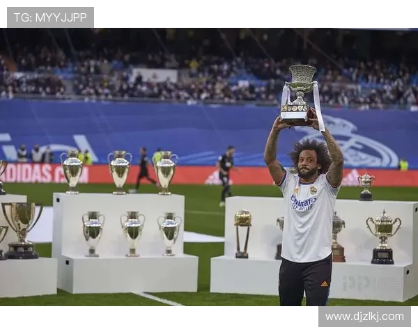 六冠王传奇巅峰荣耀的辉煌时刻 六冠王传奇巅峰荣耀的辉煌时刻